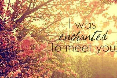 i was enchanted to meet you