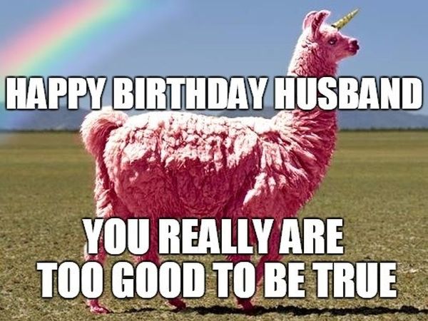 Funny Happy Birthday Husband Meme.