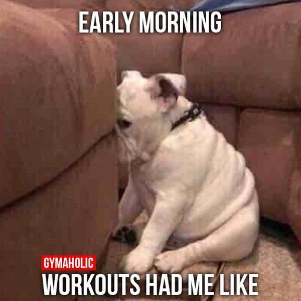 Morning Workout Meme 3