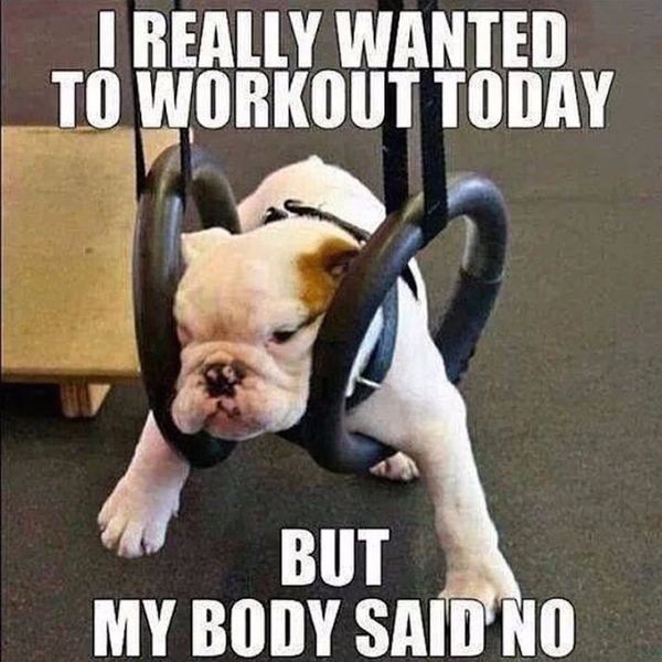 Morning Workout Meme 4