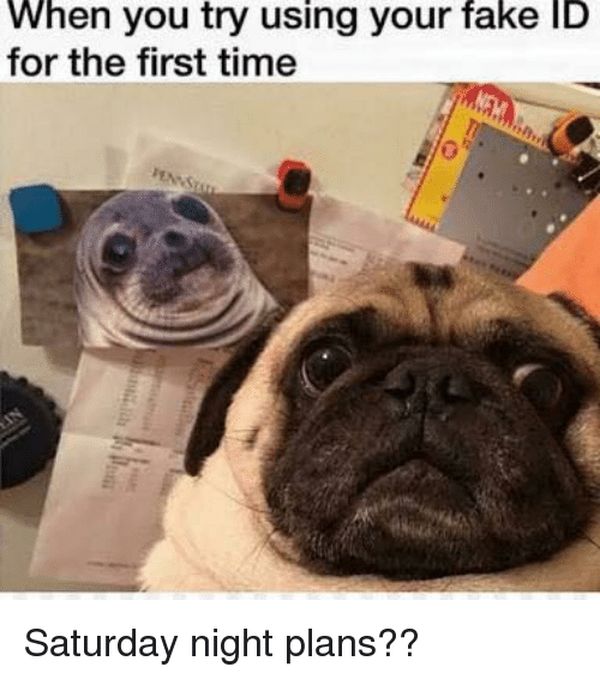 60 Best Happy Saturday Memes That Make You Smile