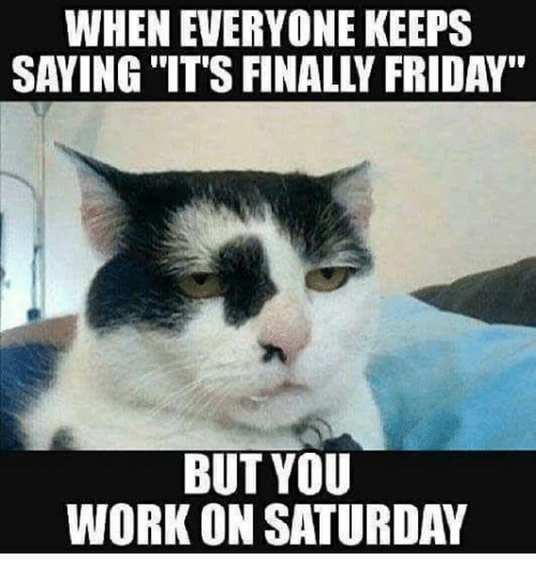 Working Saturday Meme for People Who Work on Saturday 2