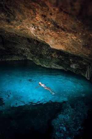 shark and dolphins cancun captions