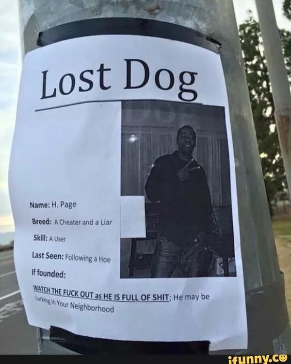 Lost Dog...