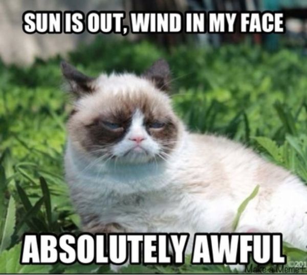 Marvelous grumpy face meme