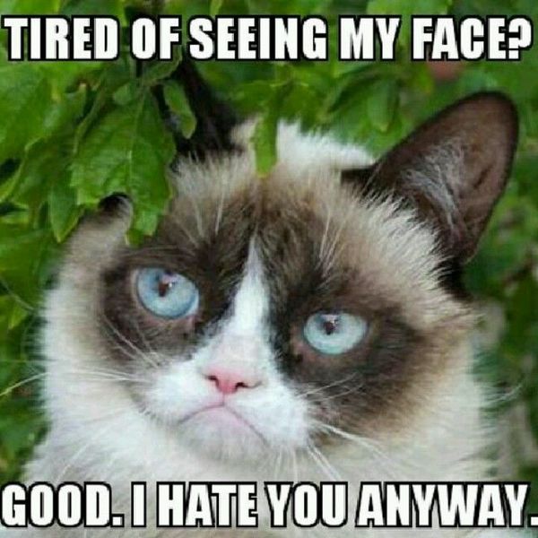 Cute grumpy face meme