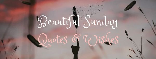 Beautiful Sunday Quotes & Wishes