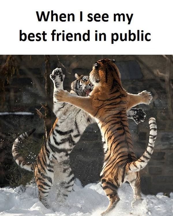 When I see my best friend in public