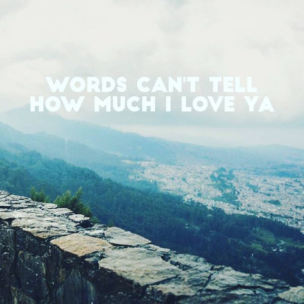 Words Can`t Tell How Much I Love Ya.