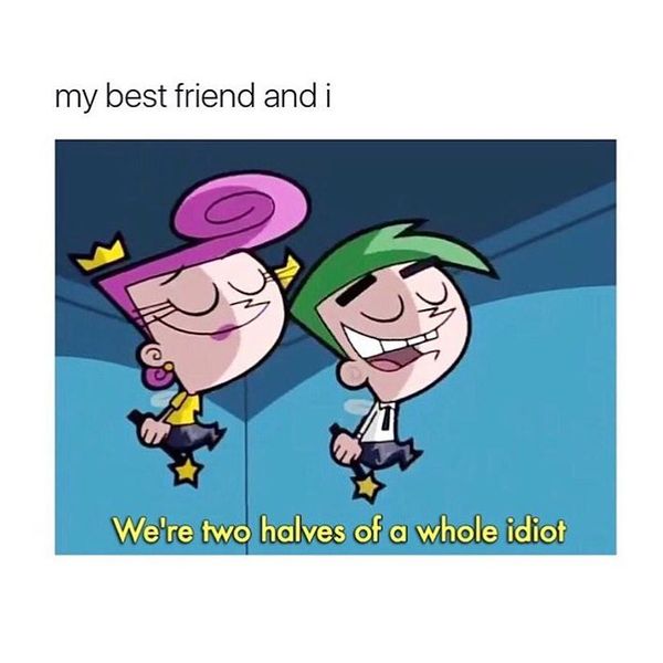 My best friend and I... We`re two halves of a whole idiot